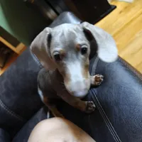 processed/8d89db52-f137-4e2a-bf73-acd6d795d82b/facility/2f669387-8d15-468c-8df1-16fe0dce136f