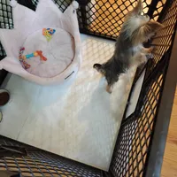 processed/8d89db52-f137-4e2a-bf73-acd6d795d82b/facility/34af7412-ee27-4115-b96c-d2f7ce7263f3