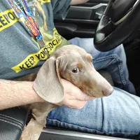 processed/8d89db52-f137-4e2a-bf73-acd6d795d82b/facility/7f5b4390-507e-4451-a923-5c2ecdc3321b