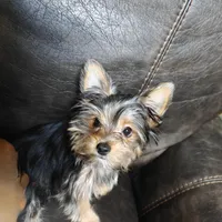 processed/8d89db52-f137-4e2a-bf73-acd6d795d82b/facility/aa821533-ac0c-44f9-aecc-c3298a2cb035