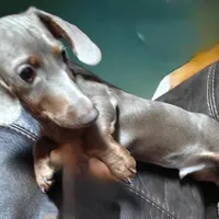 processed/8d89db52-f137-4e2a-bf73-acd6d795d82b/facility/b18197ef-034e-42be-a711-1db02533e8d7