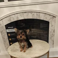 processed/8d89db52-f137-4e2a-bf73-acd6d795d82b/facility/b236501d-d8fa-4a7a-8823-db90874ca853