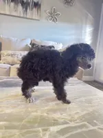 processed/8d9a6b28-e1a9-4671-8d83-5adc0c77550e/listing/0c55a65d-e712-497a-95f9-114db3e933cd/fb6b2a34-1f6a-47be-8821-66560ea0c0f4