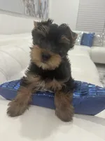 processed/8d9f7d1b-9b4a-421f-bbd3-06d96ffdaf38/listing/3c2a8370-b349-4704-9561-4d3e123c12e3/2a335989-9300-4729-9b3e-7446d6c668a1