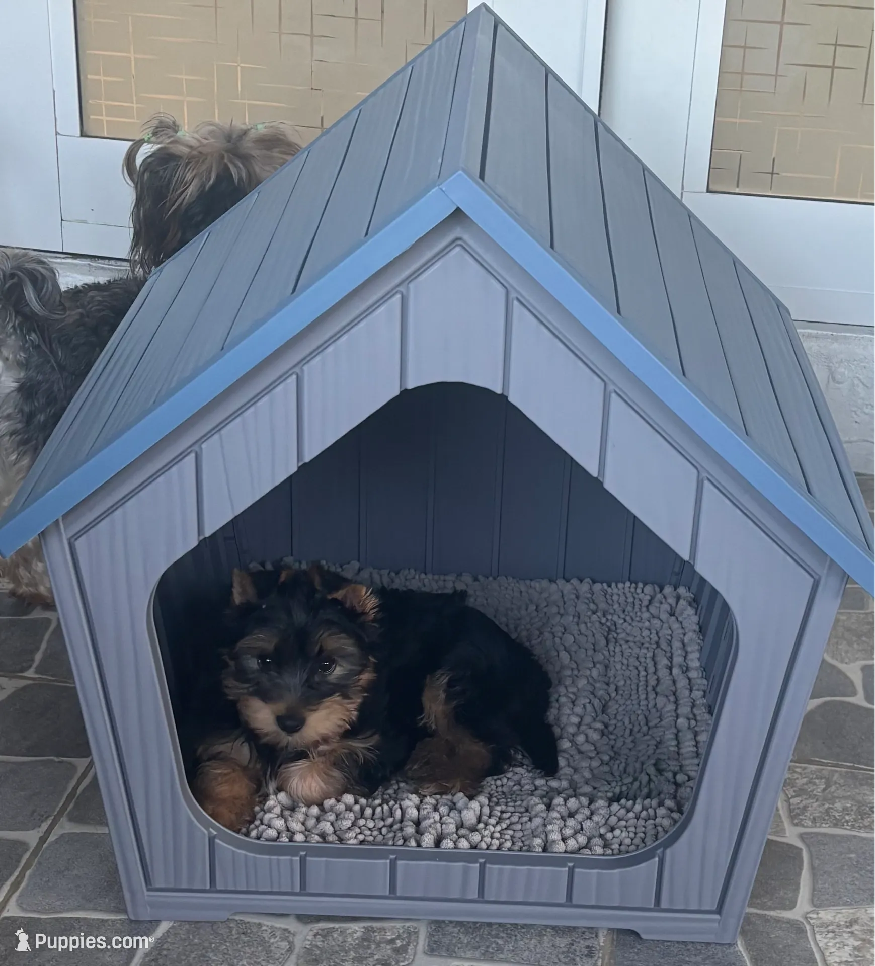 processed/8d9f7d1b-9b4a-421f-bbd3-06d96ffdaf38/listing/3c2a8370-b349-4704-9561-4d3e123c12e3/3deb9387-d041-4c94-b2ae-c487ac780b93