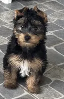 processed/8d9f7d1b-9b4a-421f-bbd3-06d96ffdaf38/listing/3c2a8370-b349-4704-9561-4d3e123c12e3/9c72af62-1e01-46b2-a9be-abd60160f5c6