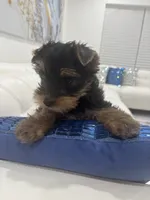 processed/8d9f7d1b-9b4a-421f-bbd3-06d96ffdaf38/listing/3c2a8370-b349-4704-9561-4d3e123c12e3/b496b4d8-d00b-442c-8c78-994f07988ef8