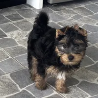 processed/8d9f7d1b-9b4a-421f-bbd3-06d96ffdaf38/listing/3c2a8370-b349-4704-9561-4d3e123c12e3/c8fbdc00-b121-44e8-8c1e-a62646d6701c