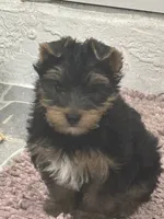 processed/8d9f7d1b-9b4a-421f-bbd3-06d96ffdaf38/listing/3c2a8370-b349-4704-9561-4d3e123c12e3/cddc4a98-a76e-45d8-9c48-0f4709cd1d06