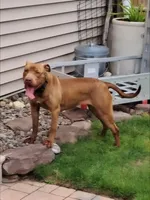 processed/8da982f8-2c1e-4212-801d-7ede7c174458/facility/9e558ad2-a56a-4707-8e19-04e0a0e16acd