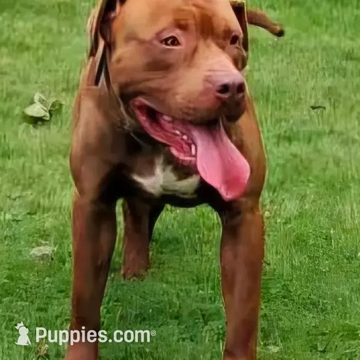 processed/8da982f8-2c1e-4212-801d-7ede7c174458/facility/c9b802d3-d627-4239-9032-1e36bd2d60c0