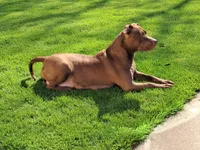 processed/8da982f8-2c1e-4212-801d-7ede7c174458/facility/d7ae02f9-3387-4cac-8d3a-c57d9bb4e919