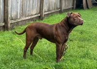 processed/8da982f8-2c1e-4212-801d-7ede7c174458/facility/e08052d8-a0f8-49e6-9492-c6e618c238d5