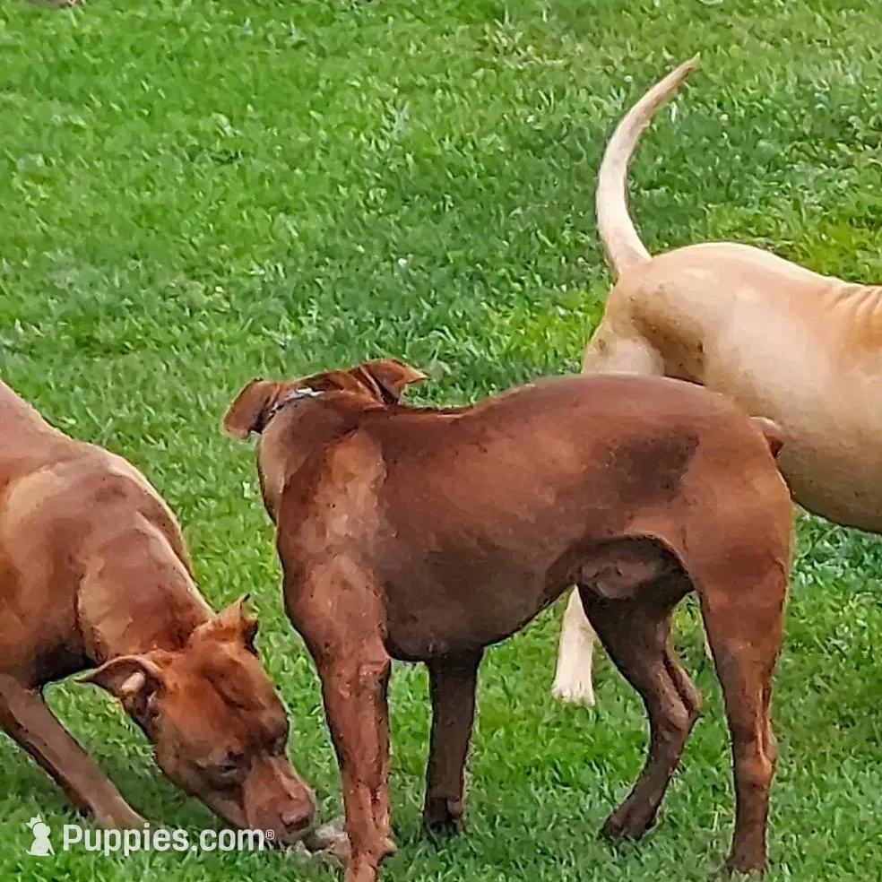 processed/8da982f8-2c1e-4212-801d-7ede7c174458/facility/e19d8833-783b-4329-9d4c-ea5f9ae98a39