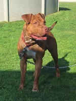 processed/8da982f8-2c1e-4212-801d-7ede7c174458/facility/e8e23167-2c93-4c74-b53c-a404da019938