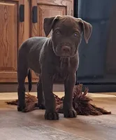 processed/8da982f8-2c1e-4212-801d-7ede7c174458/listing/62e541a7-d6dc-44f0-83d8-2d598d36db07/b9c5aebc-701b-4742-bb0b-d1eb2d7b847f