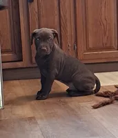 processed/8da982f8-2c1e-4212-801d-7ede7c174458/listing/62e541a7-d6dc-44f0-83d8-2d598d36db07/ddb74e59-a213-4301-a141-8eab7f809982