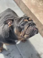 processed/8dabd8e1-a21e-4948-9cb0-643f52391dc8/facility/2d49dd71-27bc-483e-a5bc-80fc9d532e53