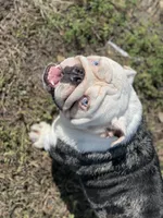 processed/8dabd8e1-a21e-4948-9cb0-643f52391dc8/facility/f6f63992-06a2-4366-848e-44e499b78c70