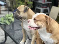 processed/8dabd8e1-a21e-4948-9cb0-643f52391dc8/facility/f77ff087-5f74-4495-b2f0-6b6dfdbc6c7c