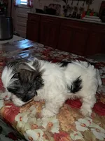 processed/8dac06f4-7654-4386-9908-7e7b41ca8176/listing/402b6e9f-f4fc-4e9e-b811-011242b4c555/708cb371-b299-4355-b7e5-495569d9eeee