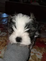 processed/8dac06f4-7654-4386-9908-7e7b41ca8176/listing/402b6e9f-f4fc-4e9e-b811-011242b4c555/adebfe64-f293-4016-9369-d891afa29ad4