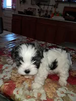 processed/8dac06f4-7654-4386-9908-7e7b41ca8176/listing/402b6e9f-f4fc-4e9e-b811-011242b4c555/be7a69d9-a1a4-4466-b8a9-8a9a315f2081