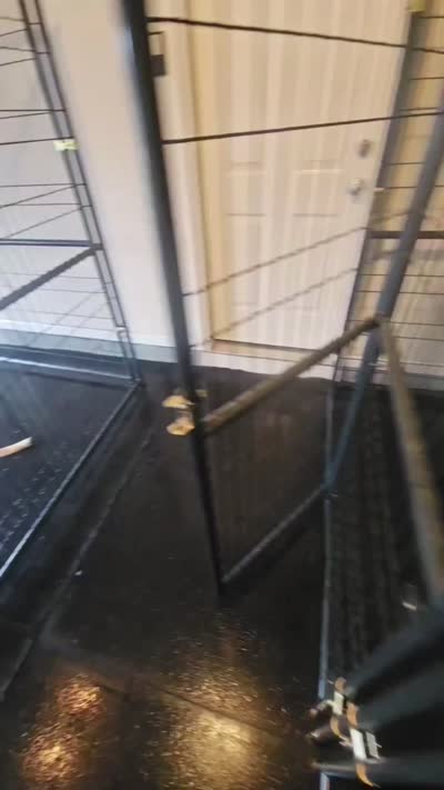 Facility video