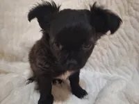 processed/8db22a92-655d-466e-8aba-e7ea9e367edb/listing/ef34fc55-54a6-4d7c-a82f-5aa5501f601b/3f01229e-b3d4-4a1c-9faf-176b782a7566