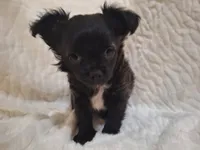 processed/8db22a92-655d-466e-8aba-e7ea9e367edb/listing/ef34fc55-54a6-4d7c-a82f-5aa5501f601b/9e6976b7-e7a0-4ae0-9d49-2eac1226ee71