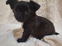 processed/8db22a92-655d-466e-8aba-e7ea9e367edb/listing/ef34fc55-54a6-4d7c-a82f-5aa5501f601b/e4705dce-ed92-4ccd-b22f-5a5d21390a7a