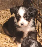 processed/8dbb4a0d-7b64-4761-8fe7-784247fc7864/listing/a913bb29-a304-4304-bf6d-ad11fcc97ce7/1db8afb5-5728-4ba1-91bd-a136658c5dbc