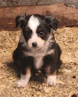 processed/8dbb4a0d-7b64-4761-8fe7-784247fc7864/listing/a913bb29-a304-4304-bf6d-ad11fcc97ce7/74cf9508-45b1-4a61-a537-a0290c1fe95b