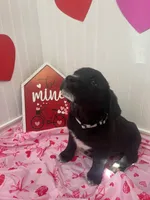 processed/8dc22fec-57e8-464f-9379-6e3d8a9bb3a3/listing/2daa16d2-b216-4838-8e3a-796e497a3d88/27234656-ecf9-41cc-9c2d-7fbf762c751c