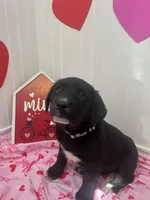 processed/8dc22fec-57e8-464f-9379-6e3d8a9bb3a3/listing/2daa16d2-b216-4838-8e3a-796e497a3d88/fffea84e-d908-4aaa-9a9e-a14b0d20e7aa