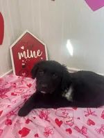 processed/8dc22fec-57e8-464f-9379-6e3d8a9bb3a3/listing/eb30adea-9217-4935-8e29-7828428847d6/0578c8a7-8f9f-486f-b849-1741f4117822