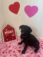 processed/8dc22fec-57e8-464f-9379-6e3d8a9bb3a3/listing/fd2fce73-e991-450f-8812-7e00705fdedb/fe60287f-e26d-41b1-b099-c48e66148277