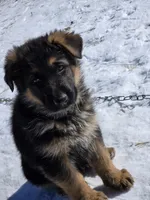 processed/8dcc5e46-ac2b-49a7-b4b2-758d173b92b4/listing/4075d5e0-deb6-4498-8370-217ee64d3302/beccdd7f-bbcd-4623-8a62-6005eeaf6b1b