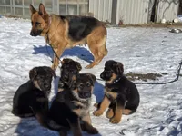 processed/8dcc5e46-ac2b-49a7-b4b2-758d173b92b4/listing/7dc4929c-8113-4569-a6a3-c7c223814cad/c782ef42-0308-46c2-84a9-a0bd85947f9d