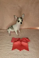 processed/8dce560b-95a1-4118-bb1d-c3105bea3c75/listing/d31aef4e-e458-45f5-87bf-10d7e5e6ccbe/db06bd0e-1544-4365-9703-e83e7634d0f0