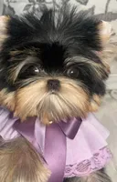 processed/8e088702-785d-4970-a874-e03c2c7a2bf1/listing/ca4edaf5-dad1-45a2-b12f-6fe96b758fa6/4a3703eb-7e11-4dbe-8b43-53d9c6e36565