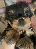 processed/8e088702-785d-4970-a874-e03c2c7a2bf1/listing/ca4edaf5-dad1-45a2-b12f-6fe96b758fa6/9085aee3-dcb6-4f35-ba4d-3234932fea5d