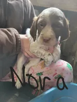 processed/8e0a6802-e7fa-47b7-bd78-3d828e199605/listing/1beb94b8-34f3-458d-9488-b1428340fd22/098e78d1-860c-460b-98ab-c2923bf0284c