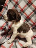 processed/8e0a6802-e7fa-47b7-bd78-3d828e199605/listing/1beb94b8-34f3-458d-9488-b1428340fd22/720b850c-2872-4125-a9a0-b3cee94c8baf