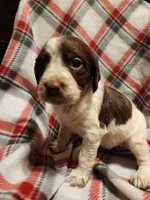 processed/8e0a6802-e7fa-47b7-bd78-3d828e199605/listing/1beb94b8-34f3-458d-9488-b1428340fd22/da4bbfaf-0d0b-4f26-8c9d-757196a72e97