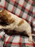 processed/8e0a6802-e7fa-47b7-bd78-3d828e199605/listing/41199936-e026-4368-8960-575ead71236b/ab24e81c-7461-4590-97c3-b0ae7002b76b