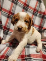 processed/8e0a6802-e7fa-47b7-bd78-3d828e199605/listing/41199936-e026-4368-8960-575ead71236b/b6a1dd73-5249-403d-ab1c-11c832b0f866