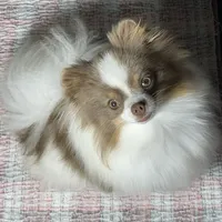 processed/8e0a9a15-6ecc-4226-af9c-282d6b77b387/facility/0ea9d831-24e6-4673-a446-ff9ac37db210