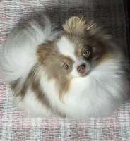 processed/8e0a9a15-6ecc-4226-af9c-282d6b77b387/facility/0ea9d831-24e6-4673-a446-ff9ac37db210