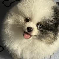 processed/8e0a9a15-6ecc-4226-af9c-282d6b77b387/facility/15566439-3e23-492b-b08d-cce015fa9e80